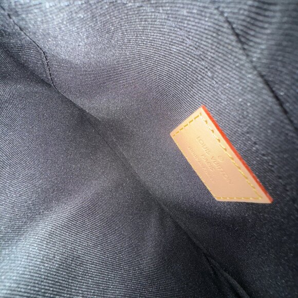 Louis Vuitton MONOGRAM REVERSE CANVAS Carry It - Picture 11 of 13